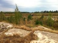 Берестянка з panoramio.com