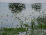 Морівськ з panoramio.com