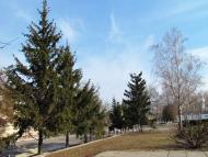 Семенівка з panoramio.com