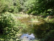 Китайгород з panoramio.com