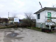 Галинка - Останні фото