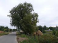 Перемога з panoramio.com