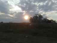 Верхньошевирівка з panoramio.com