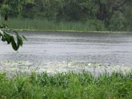 Гатище з panoramio.com