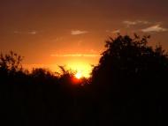 Любинці з panoramio.com