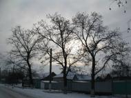 Дачне з panoramio.com