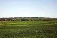 Каніж з panoramio.com
