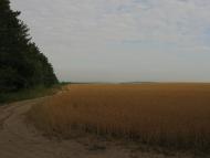 Семирічка з panoramio.com