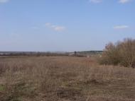 Прибузьке з panoramio.com