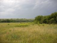 Заможнє з panoramio.com