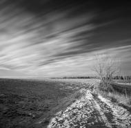 Гулі з panoramio.com