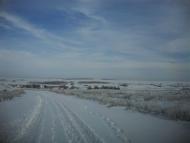 Червона Новоселівка - Останні фото