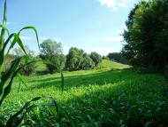 Сніжна з panoramio.com