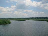 Куна з panoramio.com