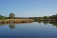 Сурсько-Клевцеве з panoramio.com