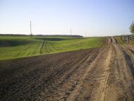 Томилівка з panoramio.com