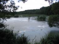 Мигалки з panoramio.com