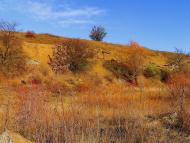 Нижня Кринка з panoramio.com