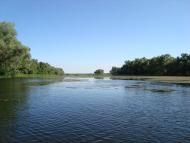 Келеберда з panoramio.com