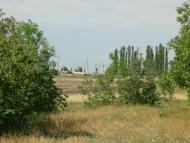 Пересадівка з panoramio.com