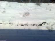 Таценки з panoramio.com