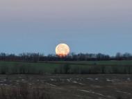 Тарасо-Григорівка з panoramio.com