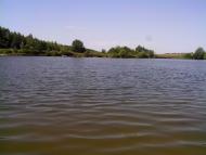 Pogrebysche Druge - Latest photos