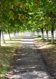 Городецьке з panoramio.com