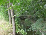 Заміхів з panoramio.com