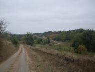 Карбівське з panoramio.com