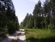 Ломленка з panoramio.com