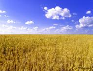 Забороль з panoramio.com