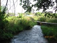 Оленівка з panoramio.com