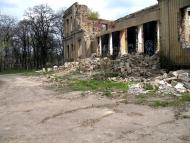 Ларине з panoramio.com