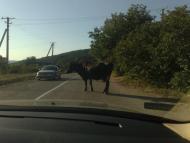 Нижня Голубинка з panoramio.com