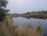 Володимирівка з panoramio.com