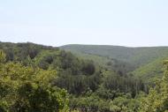 Кудрине з panoramio.com - Кудрине