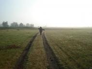 Курортне з panoramio.com