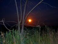 Проскури з panoramio.com