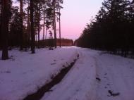 Макалевичі з panoramio.com