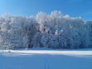 Іванківці з panoramio.com