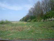 Шевченка з panoramio.com