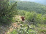 Маловидне з panoramio.com