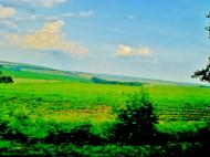 Хижинці з panoramio.com