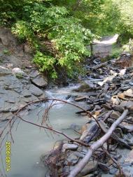 Малий Рожин з panoramio.com