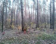 Вишняки з panoramio.com - Вишняки