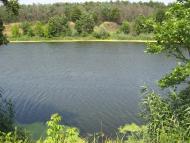 Шелудьківка з panoramio.com