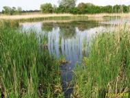 Миколаївка з panoramio.com