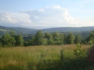 Орів з panoramio.com - Оров