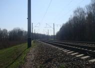 Лопатинці з panoramio.com